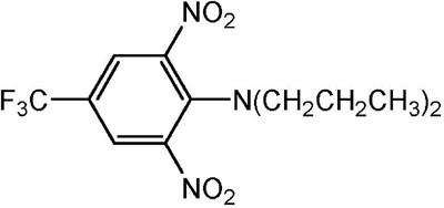 Dinitroaniline Herbicide Resistance and Mechanisms in Weeds